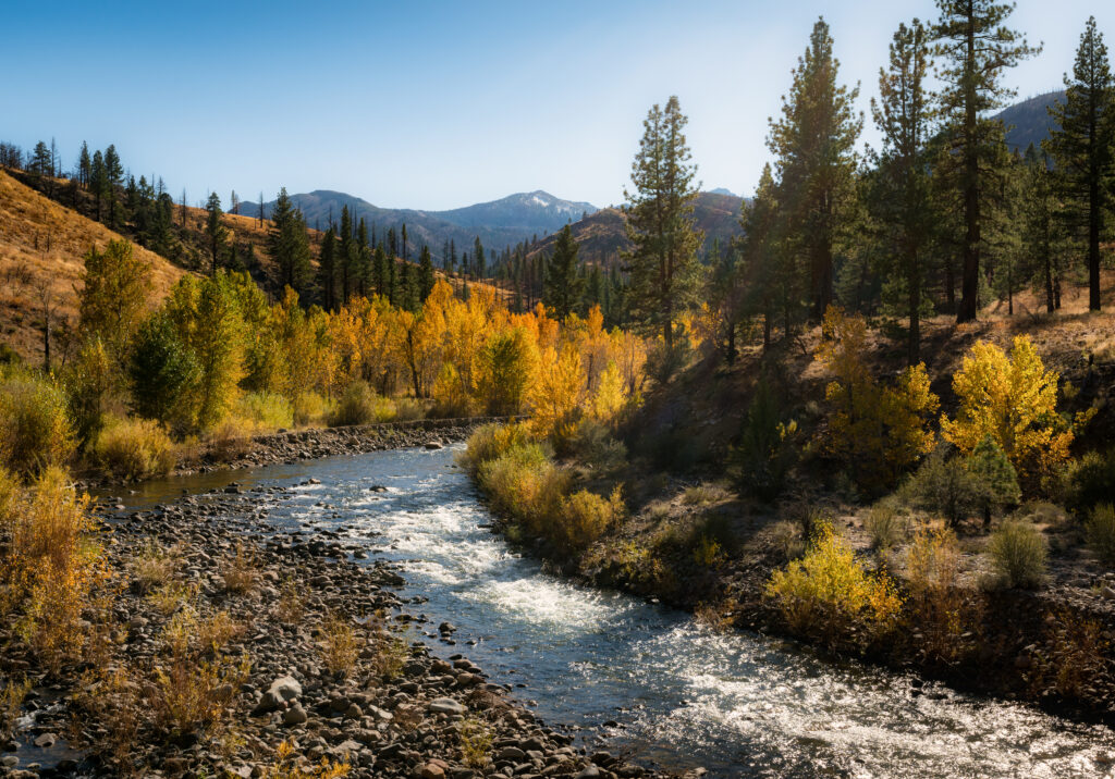 High Sierra colors with running river