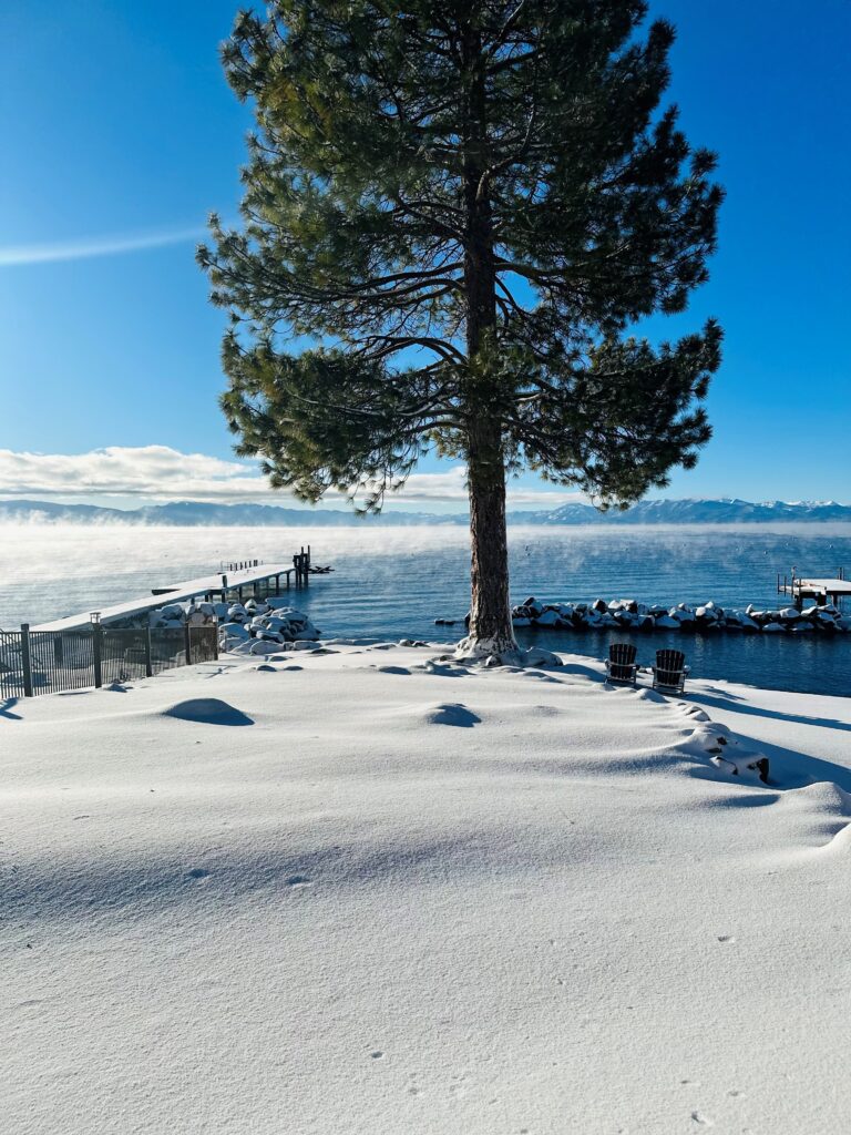 Red Wolf Lakeside Lodge pier and large tree in snow