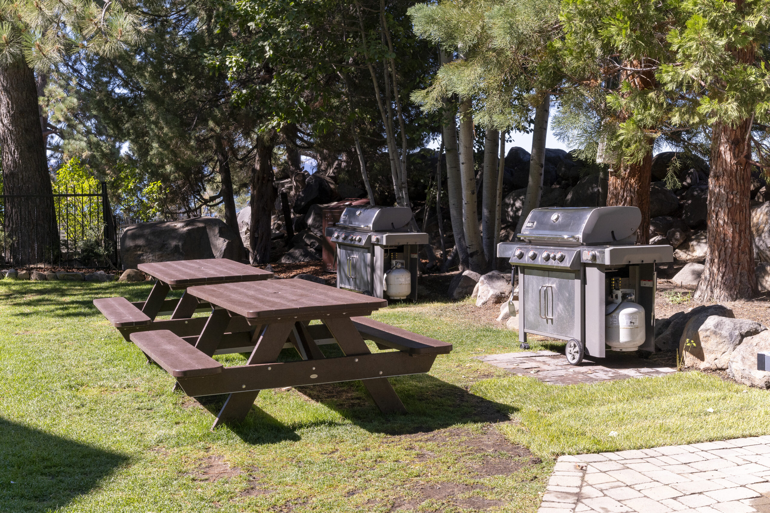 Red Wolf Lakeside Lodge Property In Summer, grill and picnic table area
