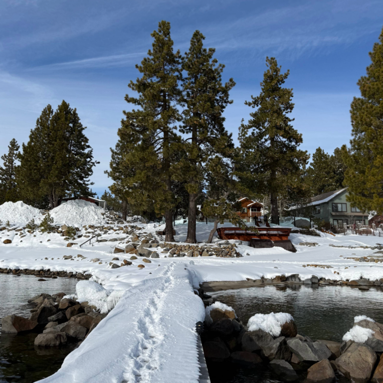 Snow on Red Wolf Lakeside property